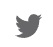Twitter icon