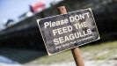 Ease off the throttle campaign
